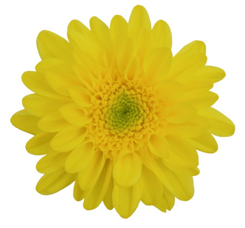 EMPATIA™ SOLARIS